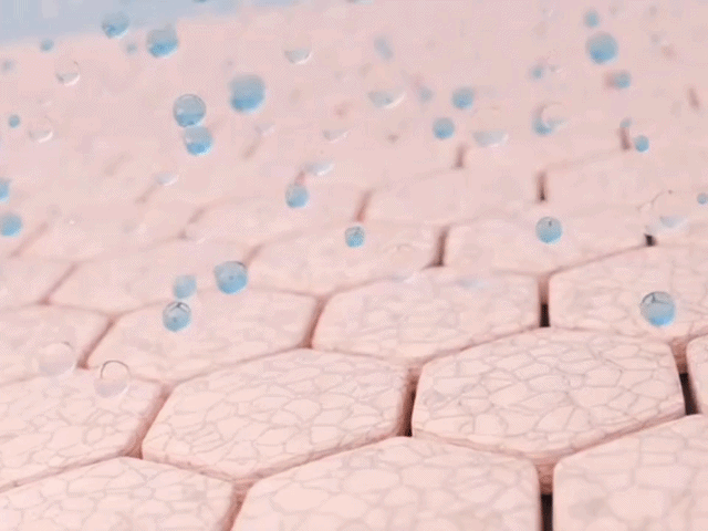 WEEK 01 — Barrier Relief & Cushioning